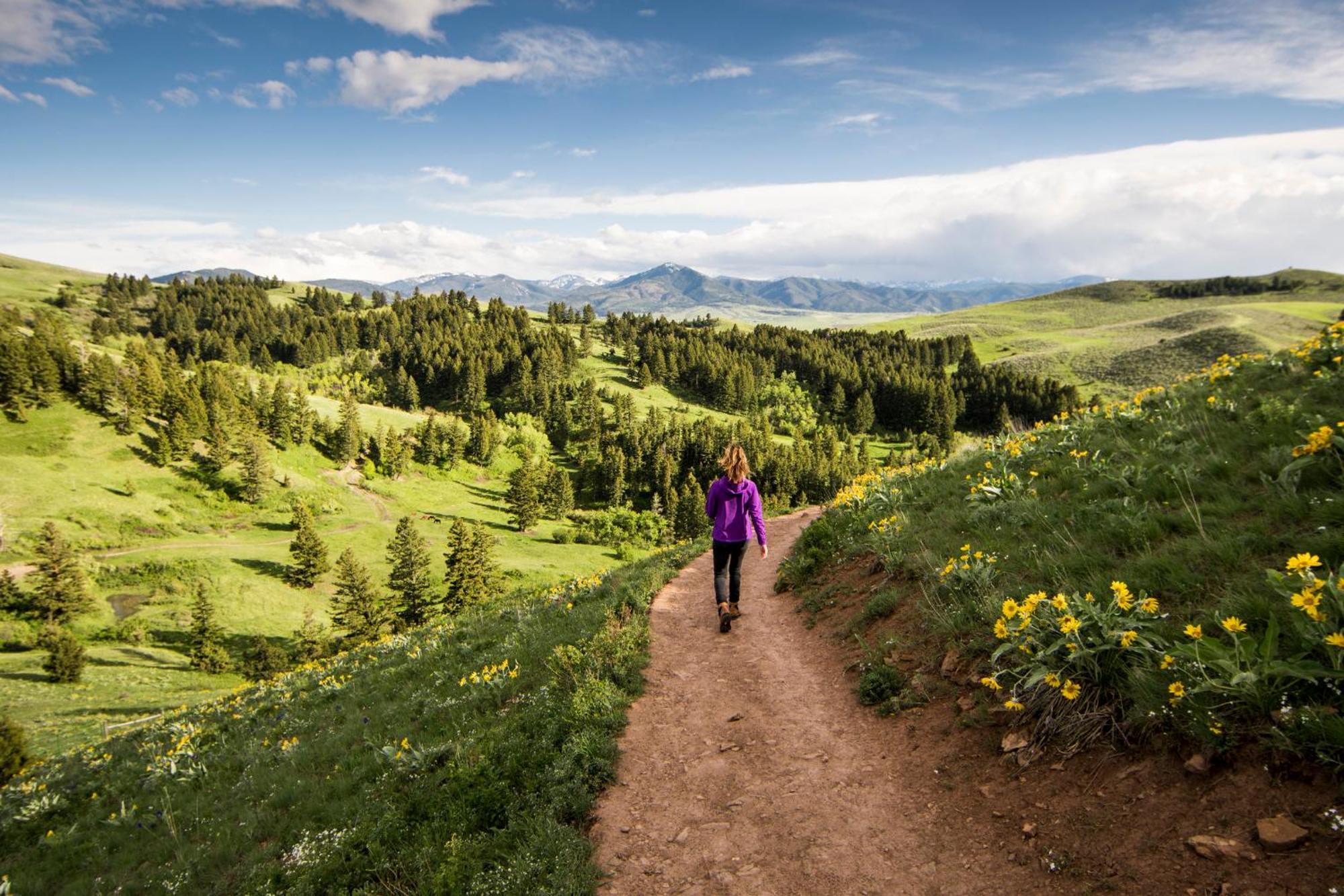 Even Hotel Bozeman Yellowstone Intl Arpt By Ihg Belgrade Bagian luar foto